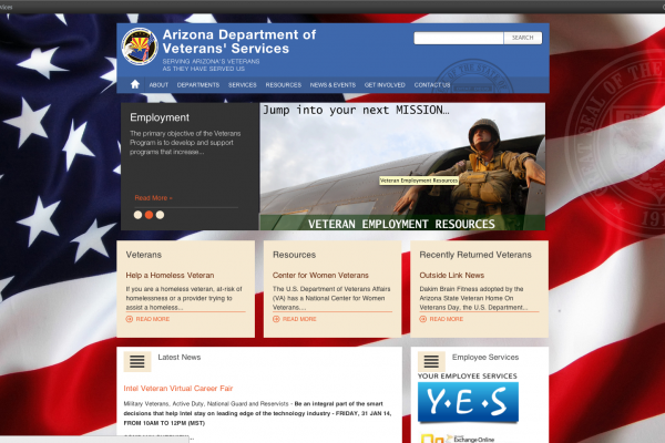 Department of Veteran Services website